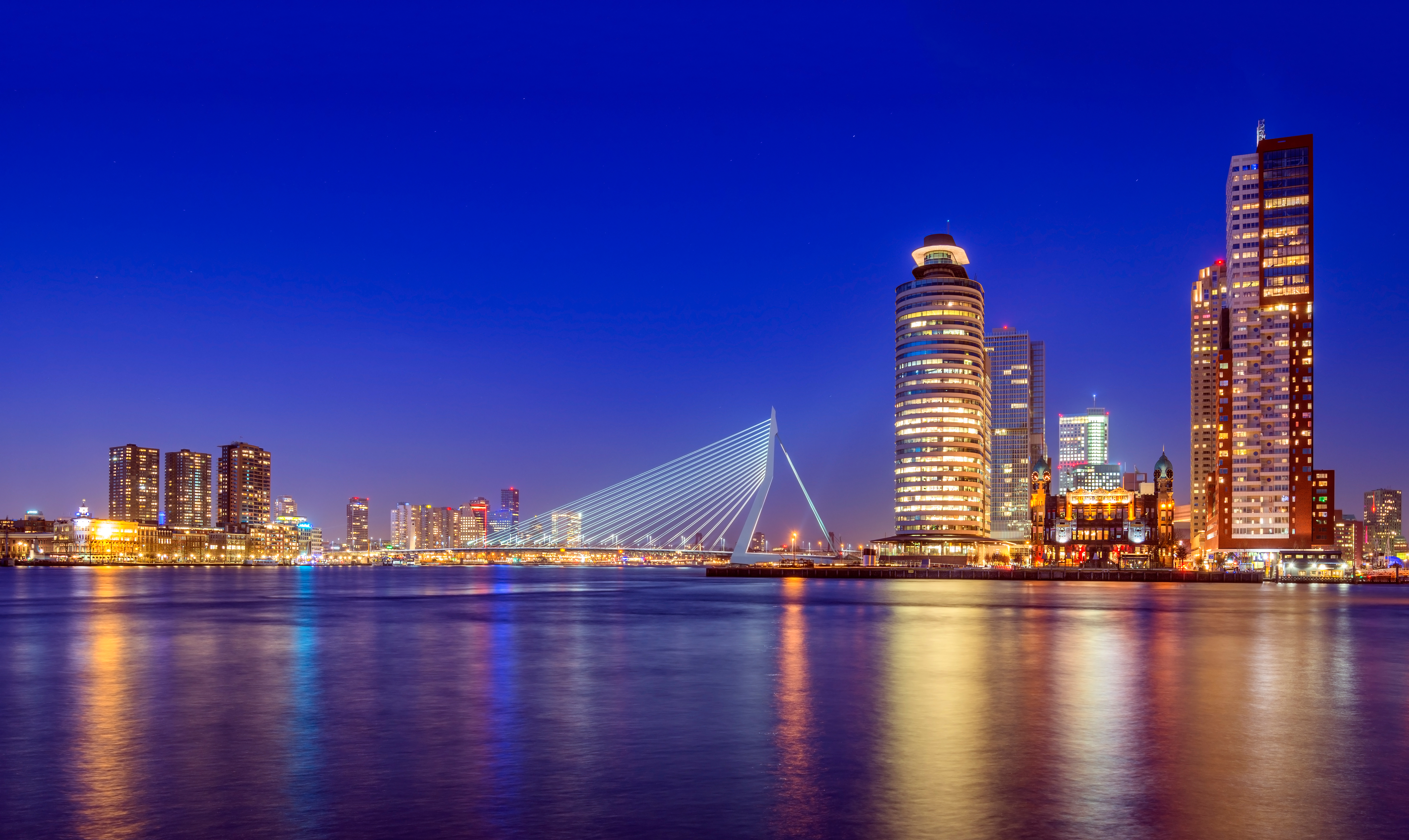 Rotterdam-kopfoto.jpg